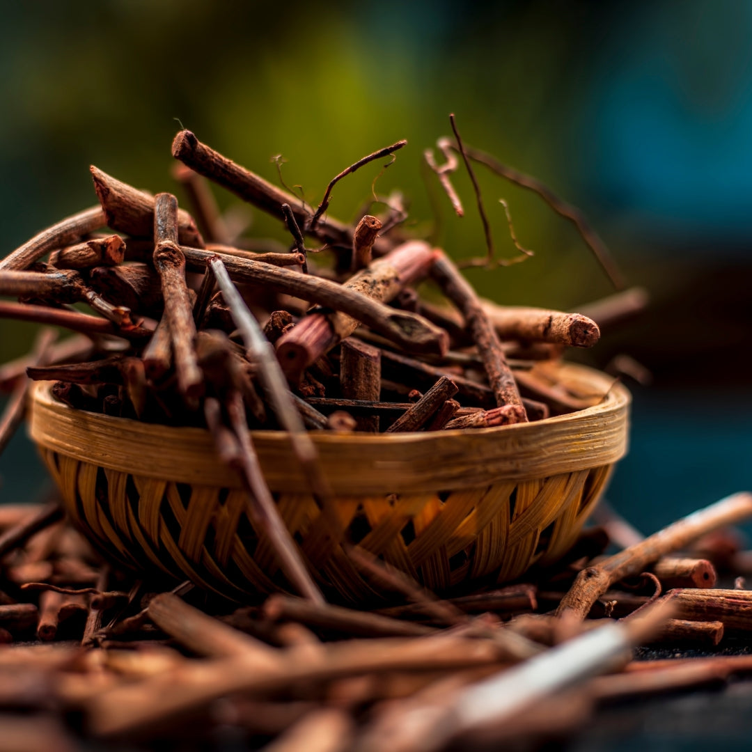 Manjistha (Indian Madder)